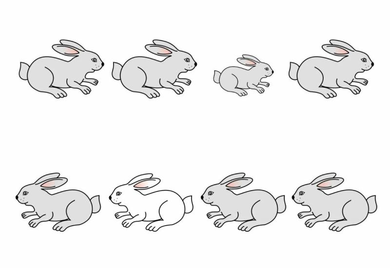 Маленький зайчик рисунок