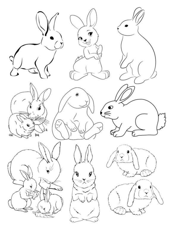 Маленький зайчик раскраска