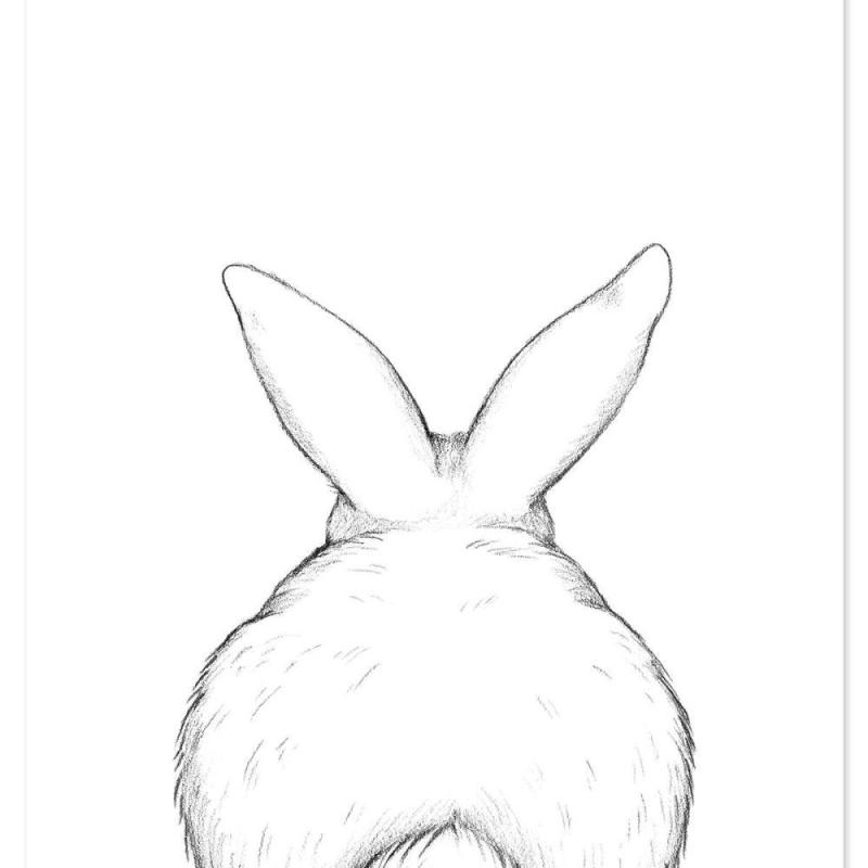 Кролик сзади иллюстрация