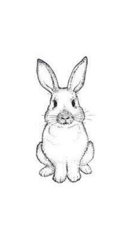 Кролик эскиз