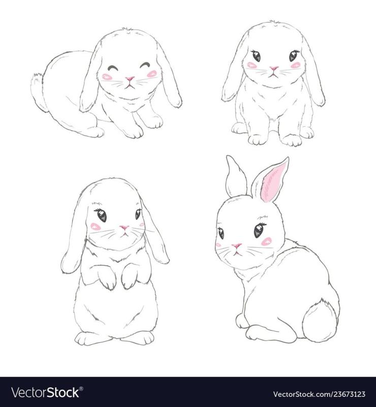 Картинки кролика для срисовки