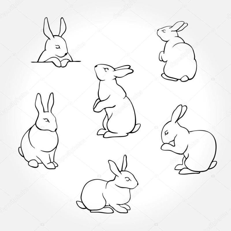 Заяц вид сзади рисунок