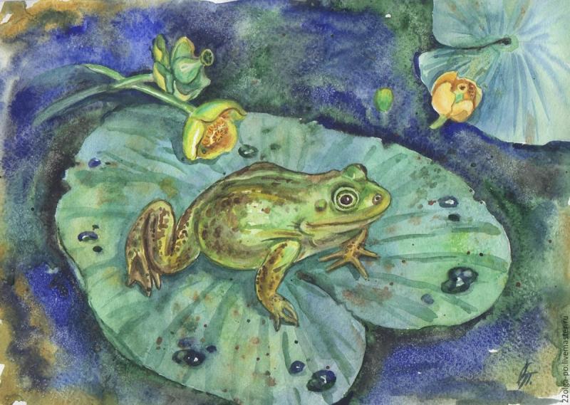 Пришвин Лягушонок иллюстрации