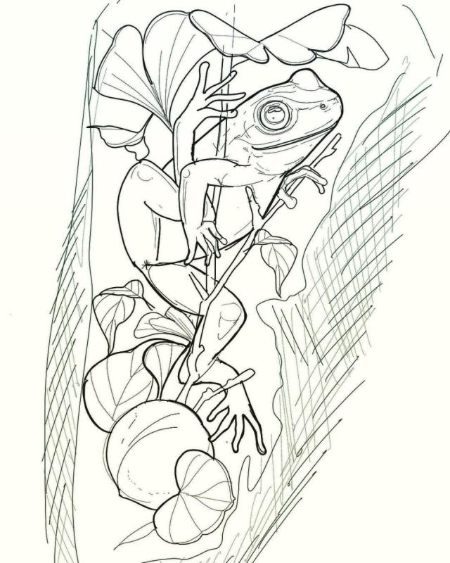 Жаба тату эскиз