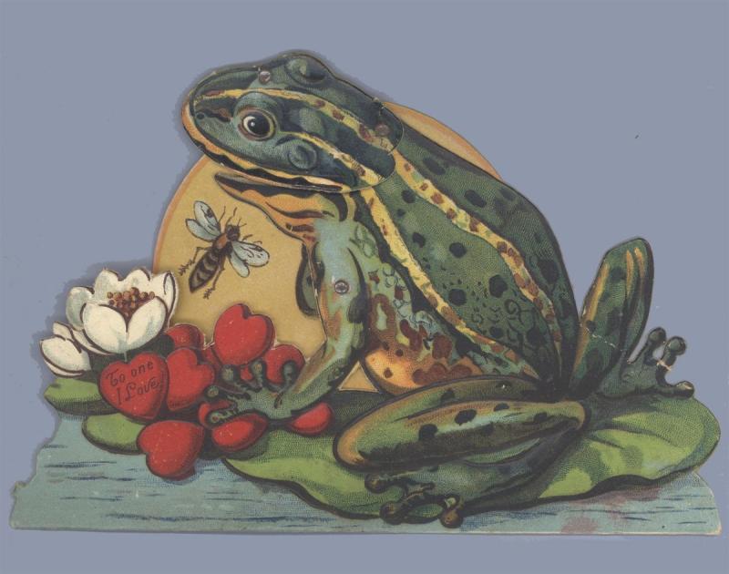 Лягушка и роза