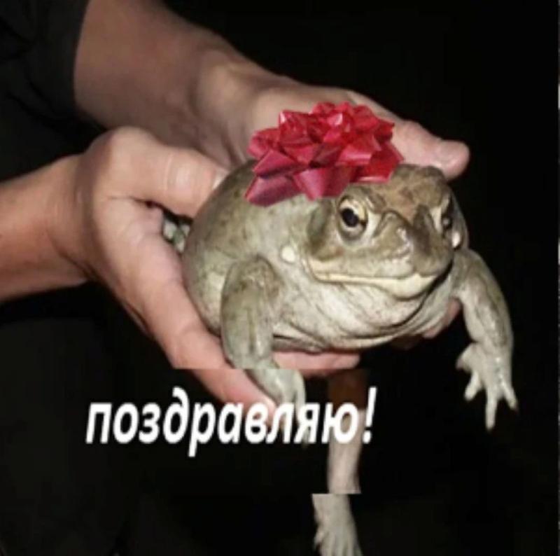 Жаба с днем рождения