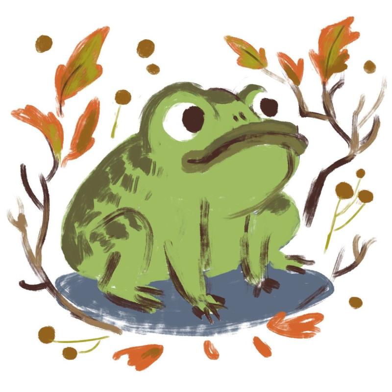 По ту сторону изгороди лягушка