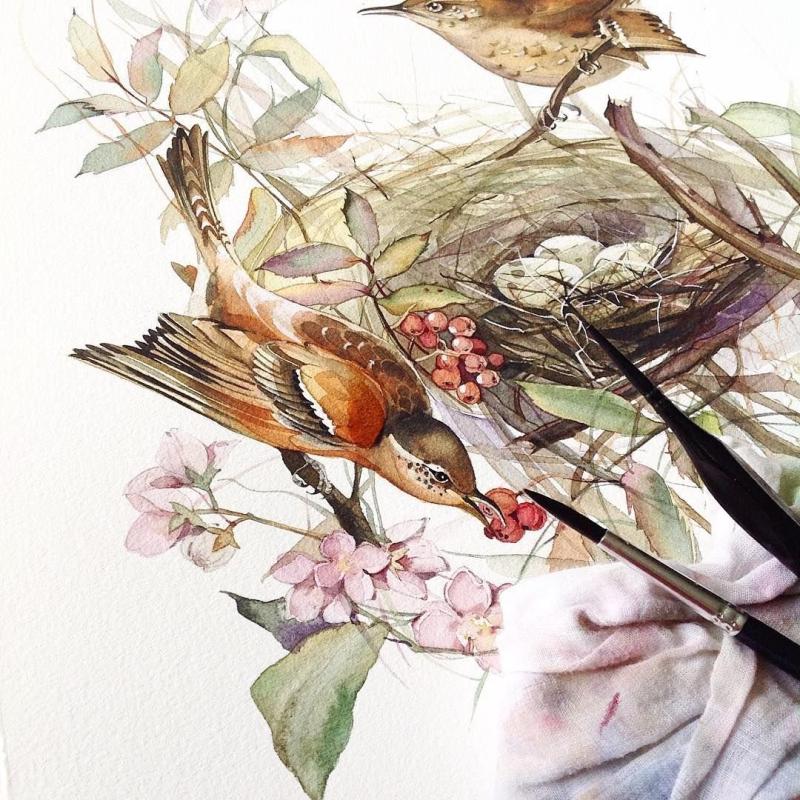 Акварель Katya_mihailina птицы