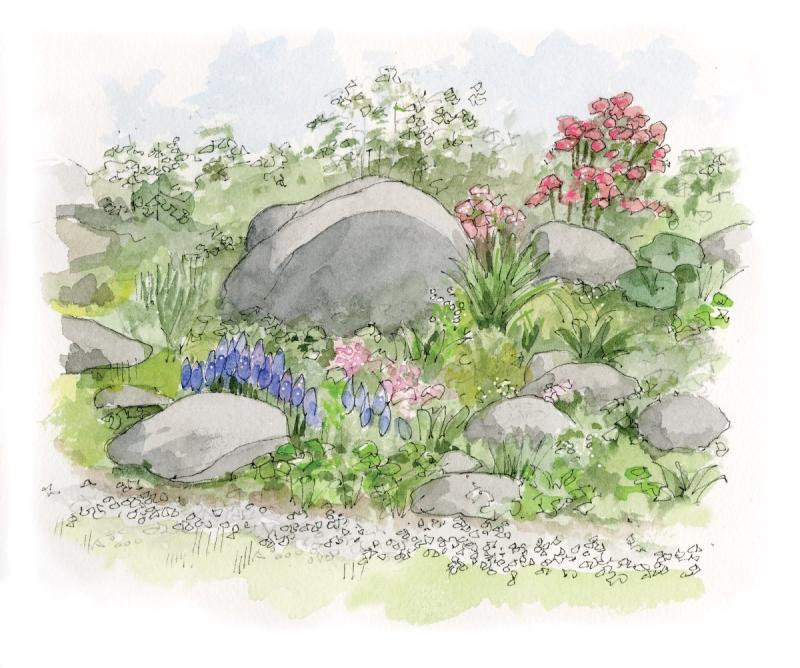 Каменный сад в Японии рисунок