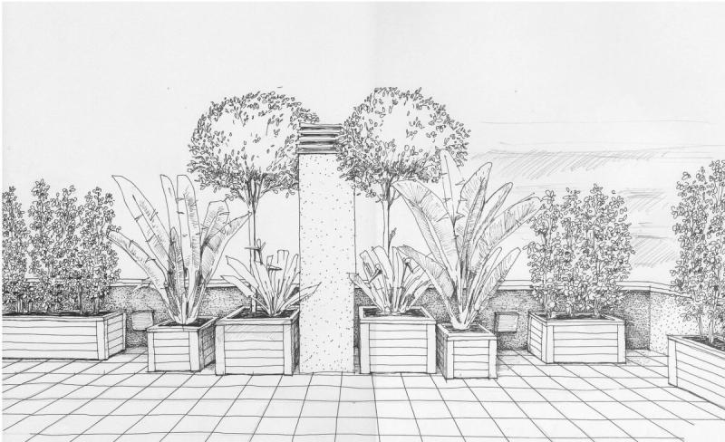 Эскиз ландшафта