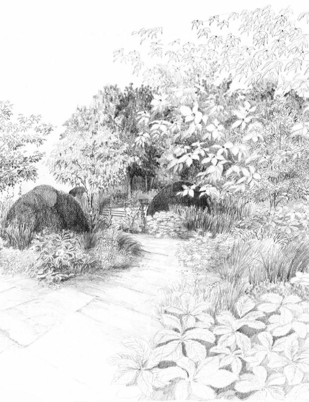 Ландшафт карандашом