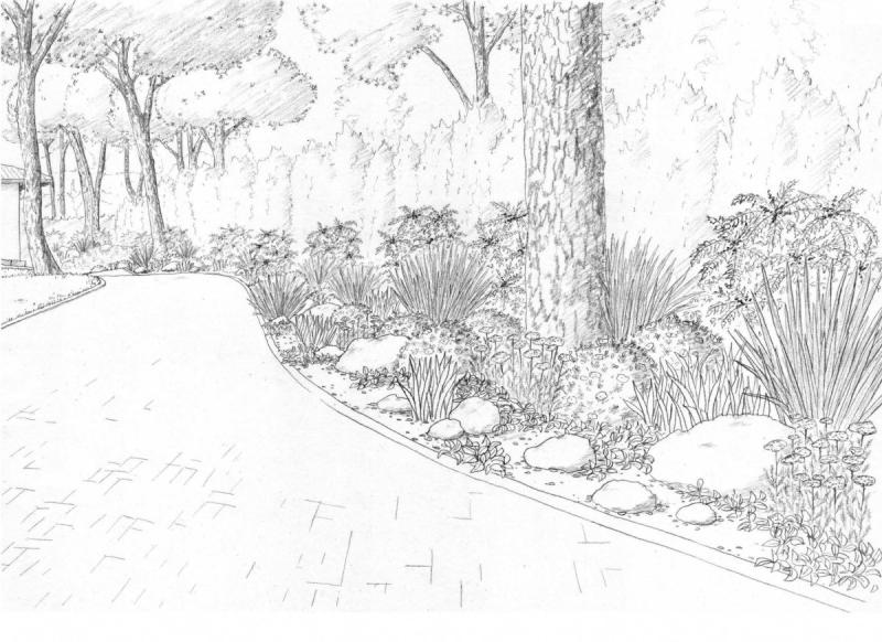 Сад набросок карандашом