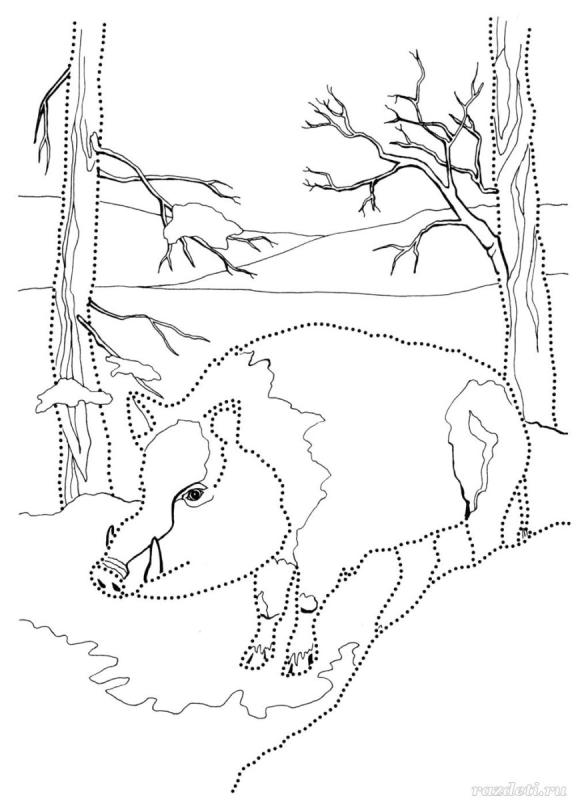 Дикие животные зимой раскраска для детей