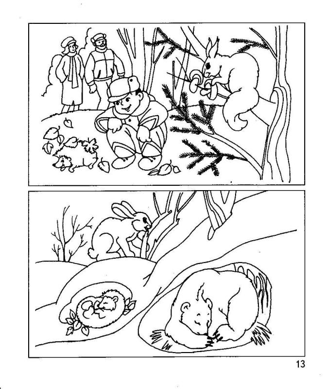 Раскраски как звери готовятся к зиме