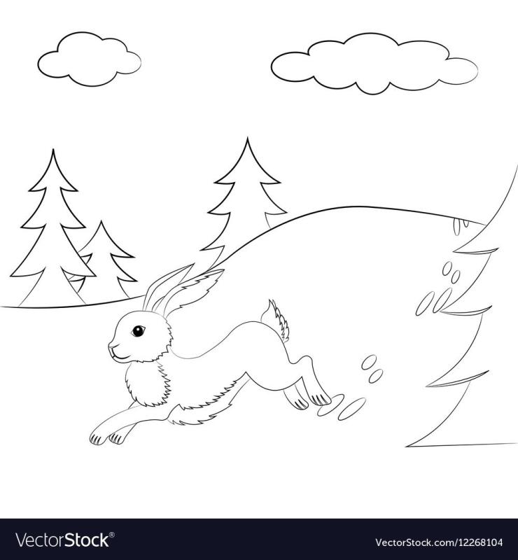 Кролик в лесу раскраска