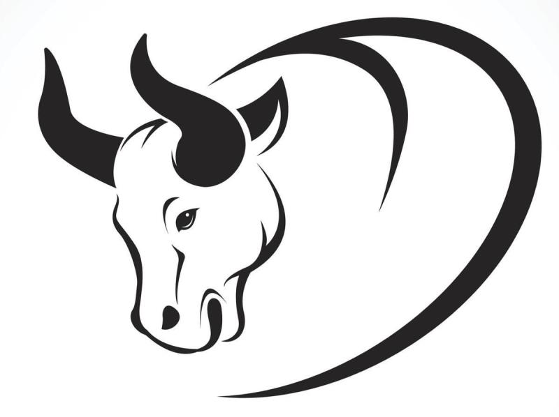 Бык Графика