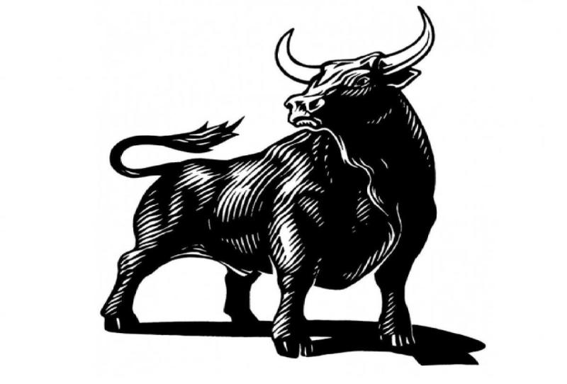 Бык узор