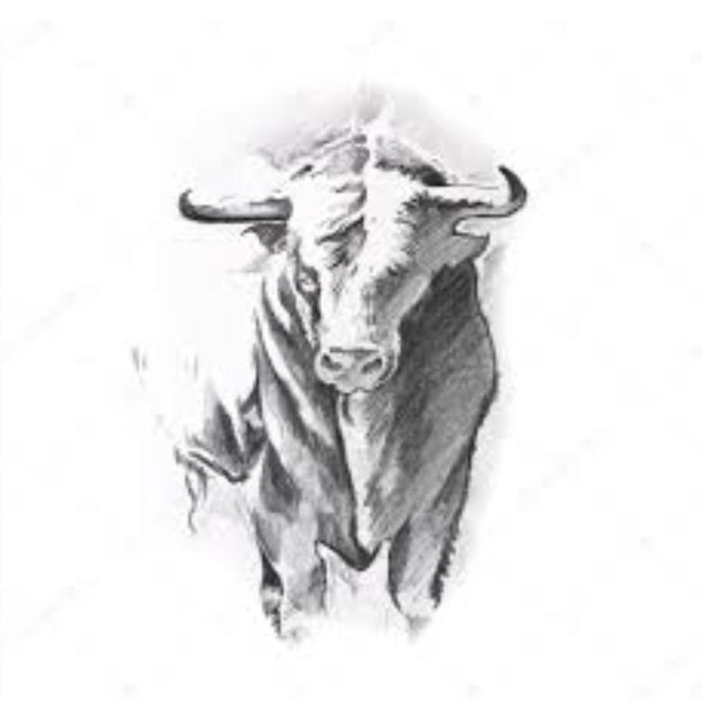 Эскиз Златорогий тур