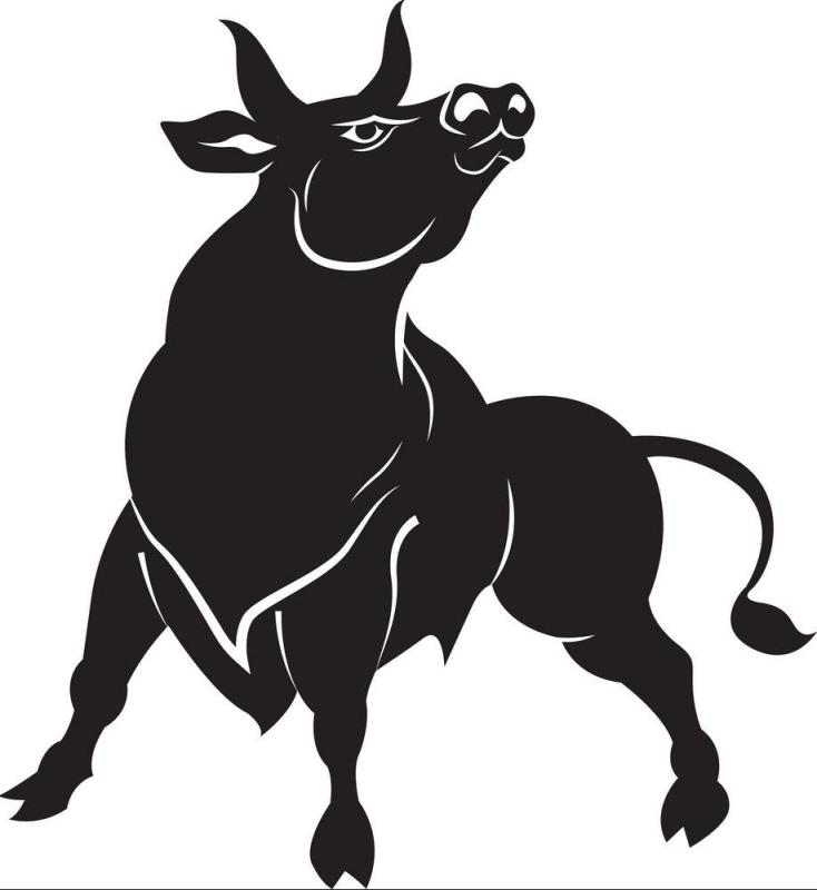 Силуэт быка 2021