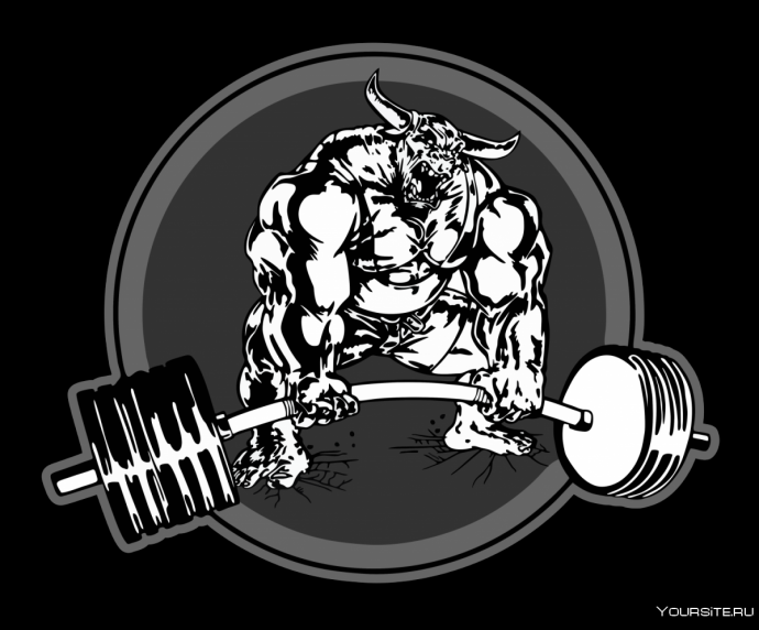 Штанга пауэрлифтинг