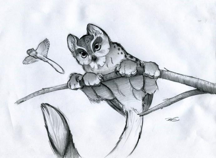 Фэнтези животные для срисовки