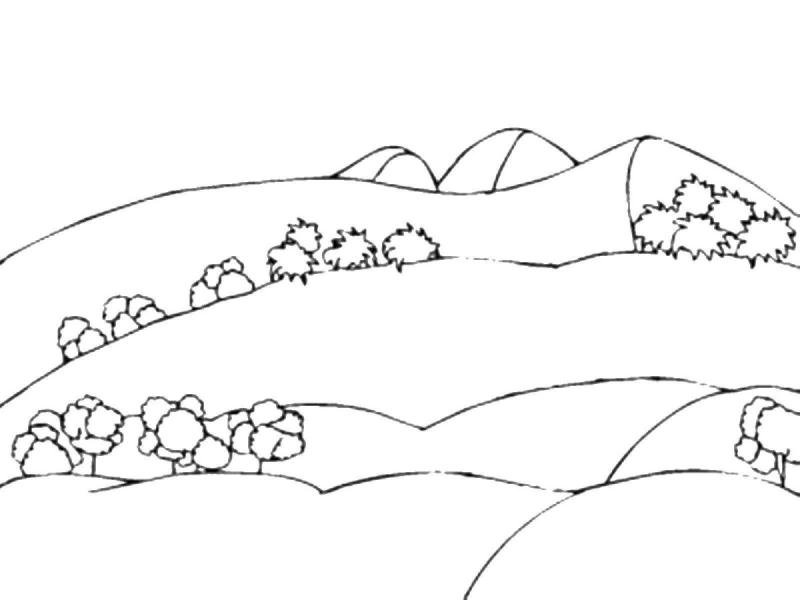 Поляна раскраска для детей