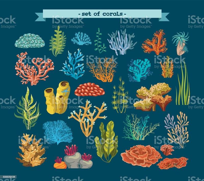 Стилизованные кораллы