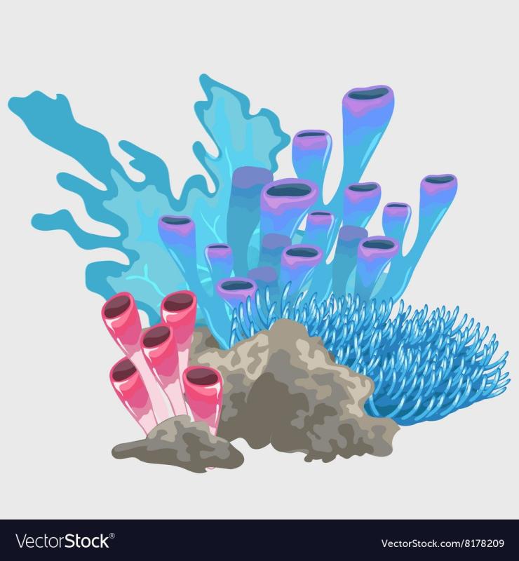 Кораллы вектор