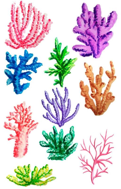 Морские водоросли вектор