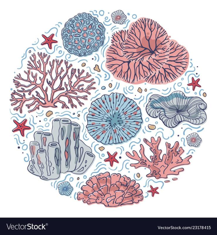 Кораллы вектор