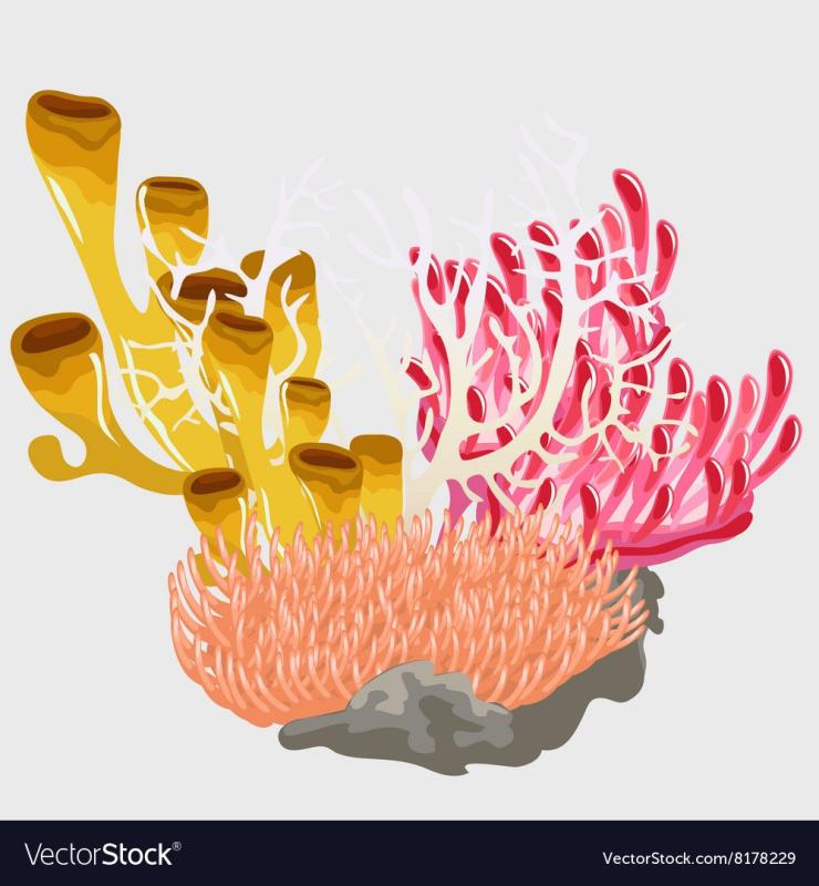 Морские кораллы акварелью