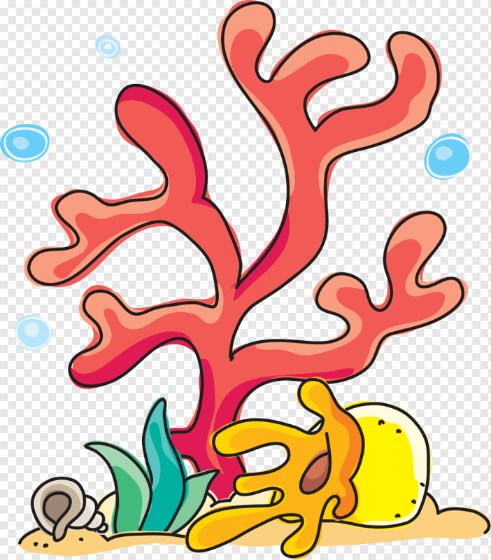 Кораллы рисунок