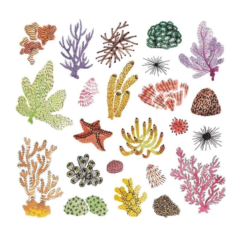 Кораллы принт