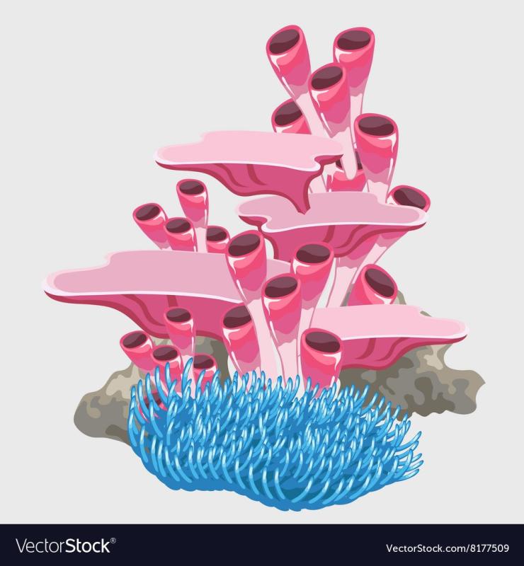 Коралл мультяшный