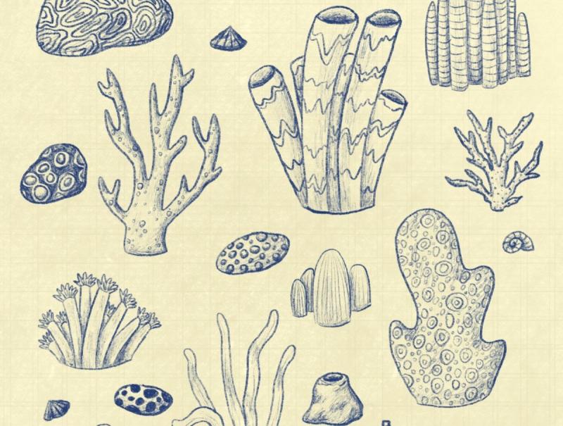 Водоросли стилизация