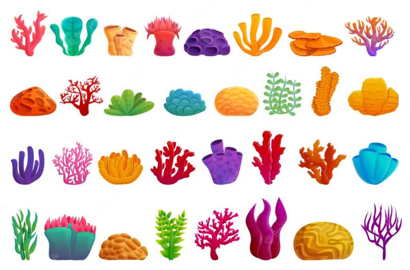 Цветные кораллы на белом фоне