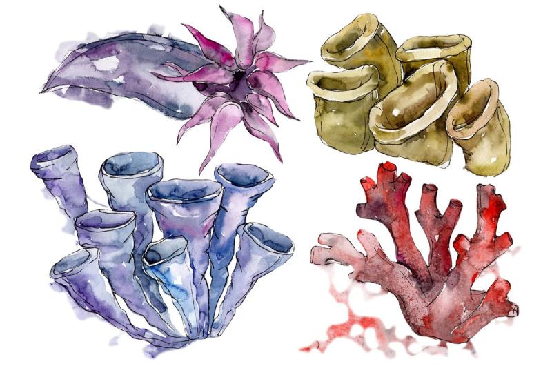 Морские кораллы мультяшные