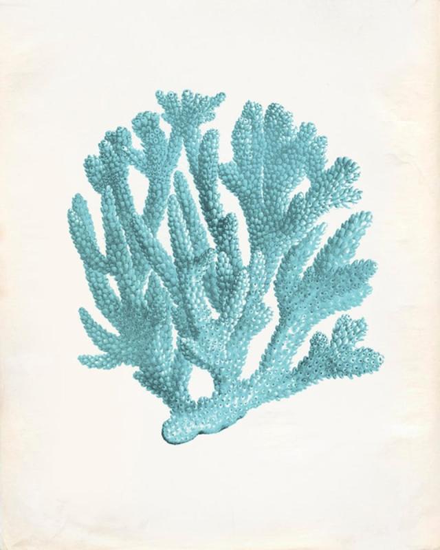 Кораллы акварель