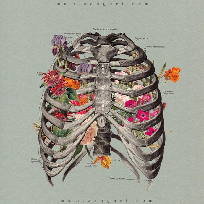 Грудная клетка с цветами