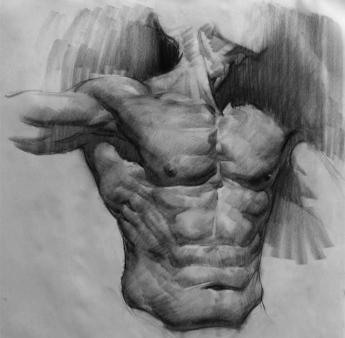 Мужской торс для рисования