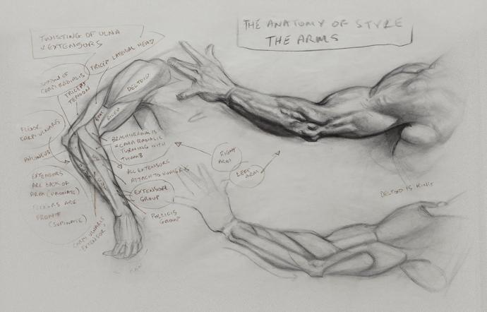 Анатомия в динамике