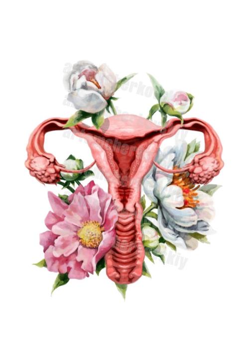 Органы в виде цветов