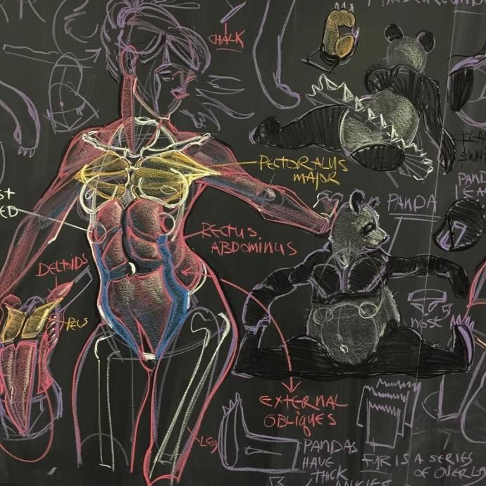 Анатомия человека художественная