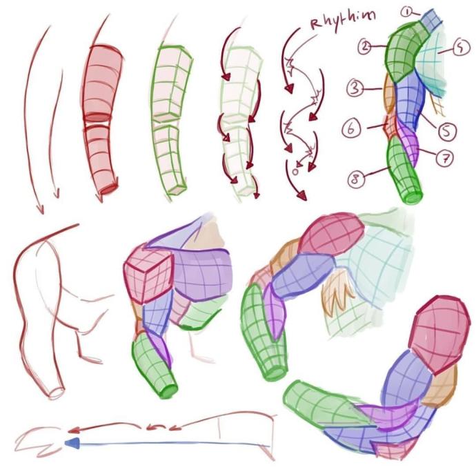 Изучить анатомию человека для рисования