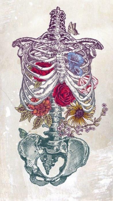 Анатомическое сердце с цветами
