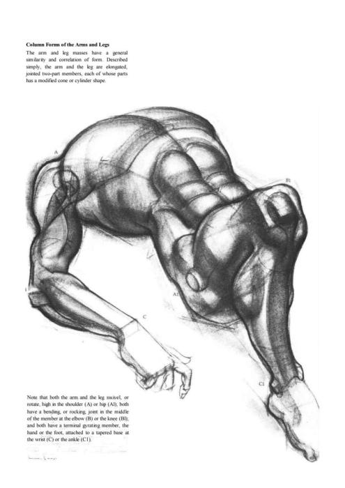 Бёрн Хогарт динамическая анатомия для художников