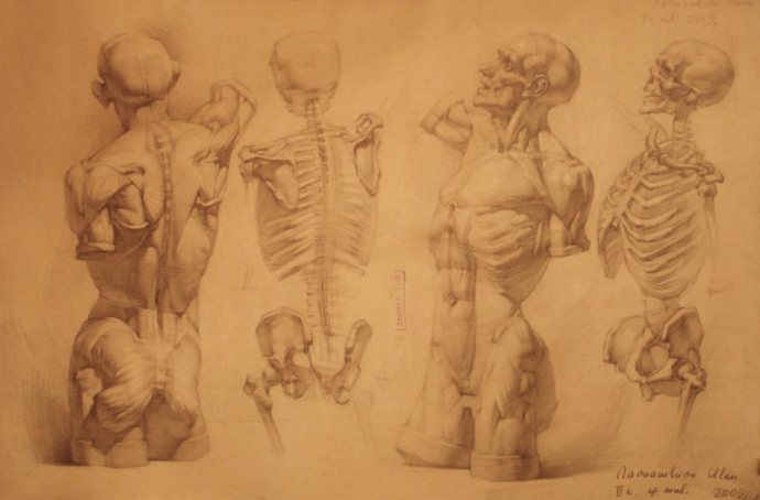 Анатомический рисунок Иван Лалиашвили