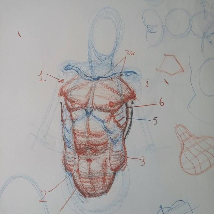 Roman Hurtado анатомия