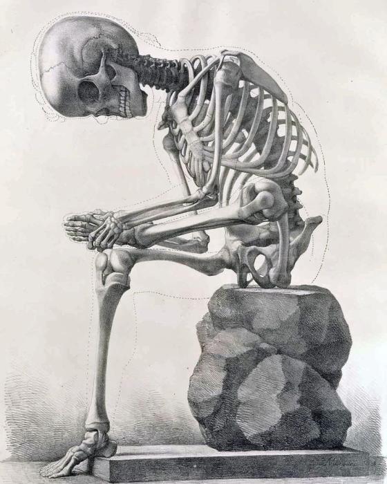 Анатомический атлас Бидлоо