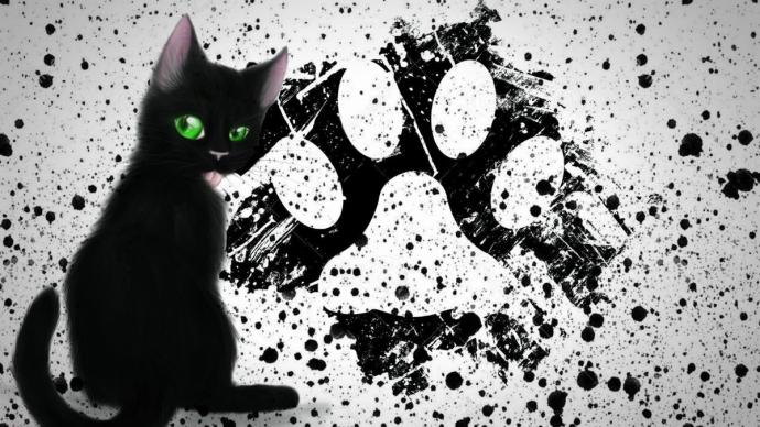 Человек с фотоаппаратом арт